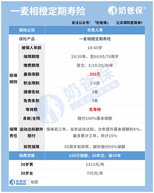 華貴一麥相橙定期壽險（互聯(lián)網(wǎng)專屬）深度評測 保障、性價比與網(wǎng)絡(luò)信息安全視角下的思考