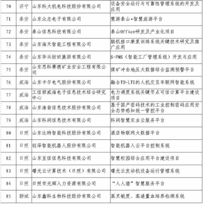 日照5家企業(yè)入選省級(jí)重點(diǎn)項(xiàng)目名單，引領(lǐng)網(wǎng)絡(luò)與信息安全軟件開(kāi)發(fā)新浪潮